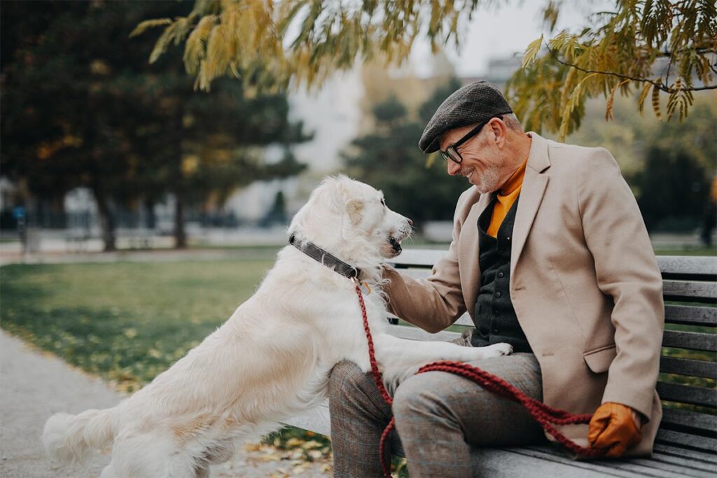 Elder man enjoying walking dog in outdoor park.